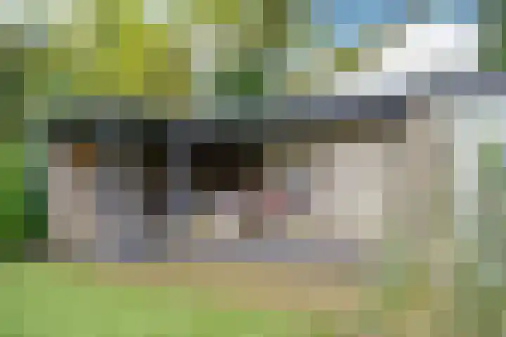 Jan Toebacklaan 16 Bussum thumbnail 8