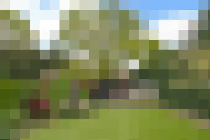Jan Toebacklaan 16 Bussum thumbnail 9