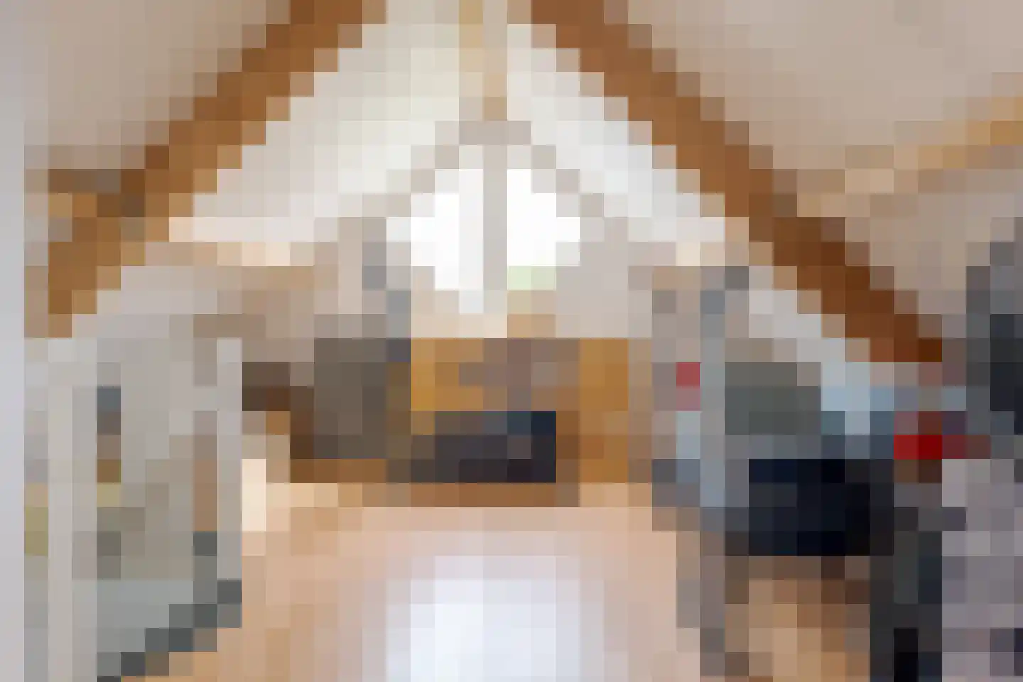 Jan Toetlaan 6 IJhorst thumbnail 21