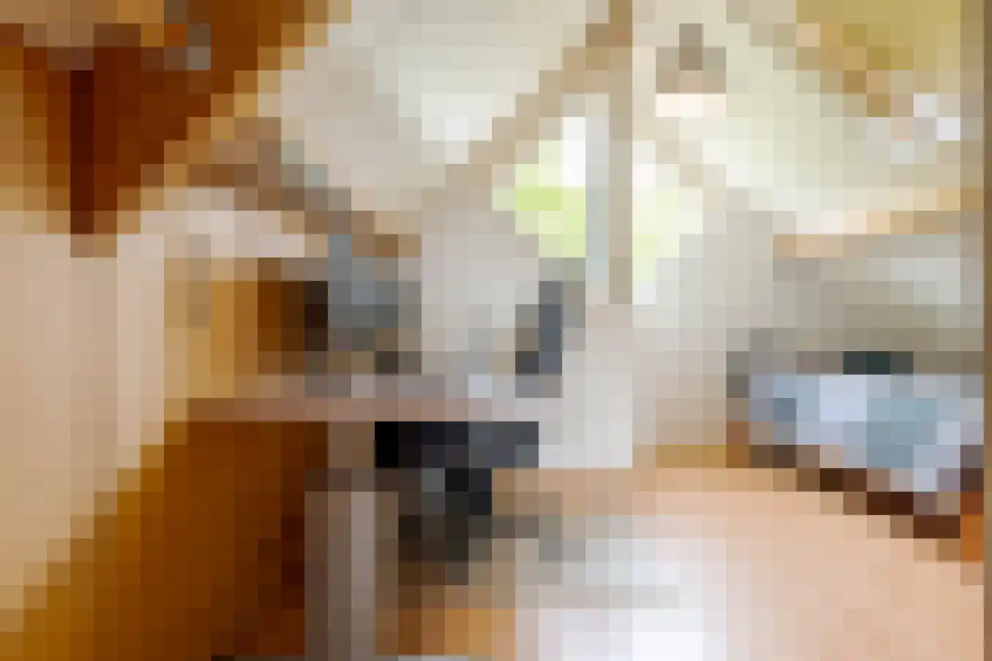 Jan Toetlaan 6 IJhorst thumbnail 23
