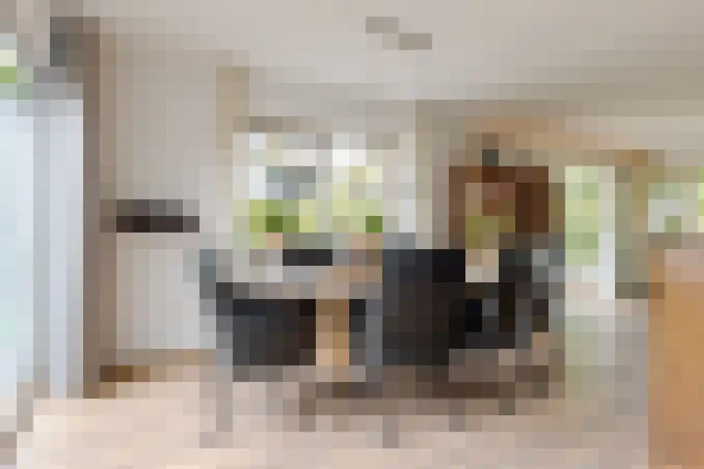 Jan Toetlaan 6 IJhorst thumbnail 5
