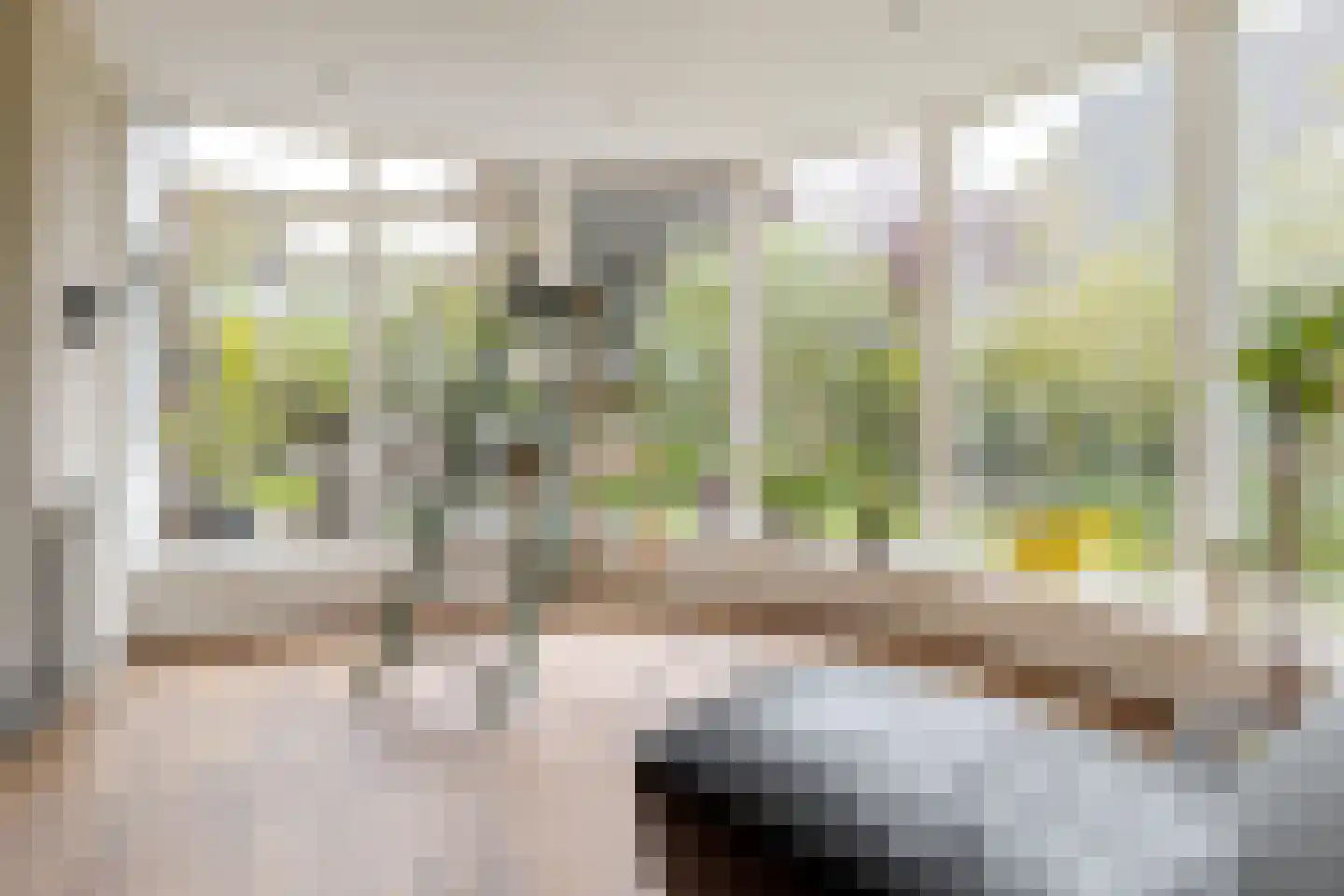 Jan Toetlaan 6 IJhorst thumbnail 6