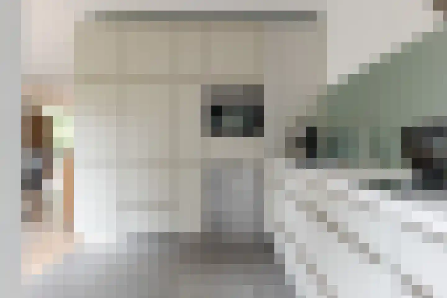 Jan Toetlaan 6 IJhorst thumbnail 8