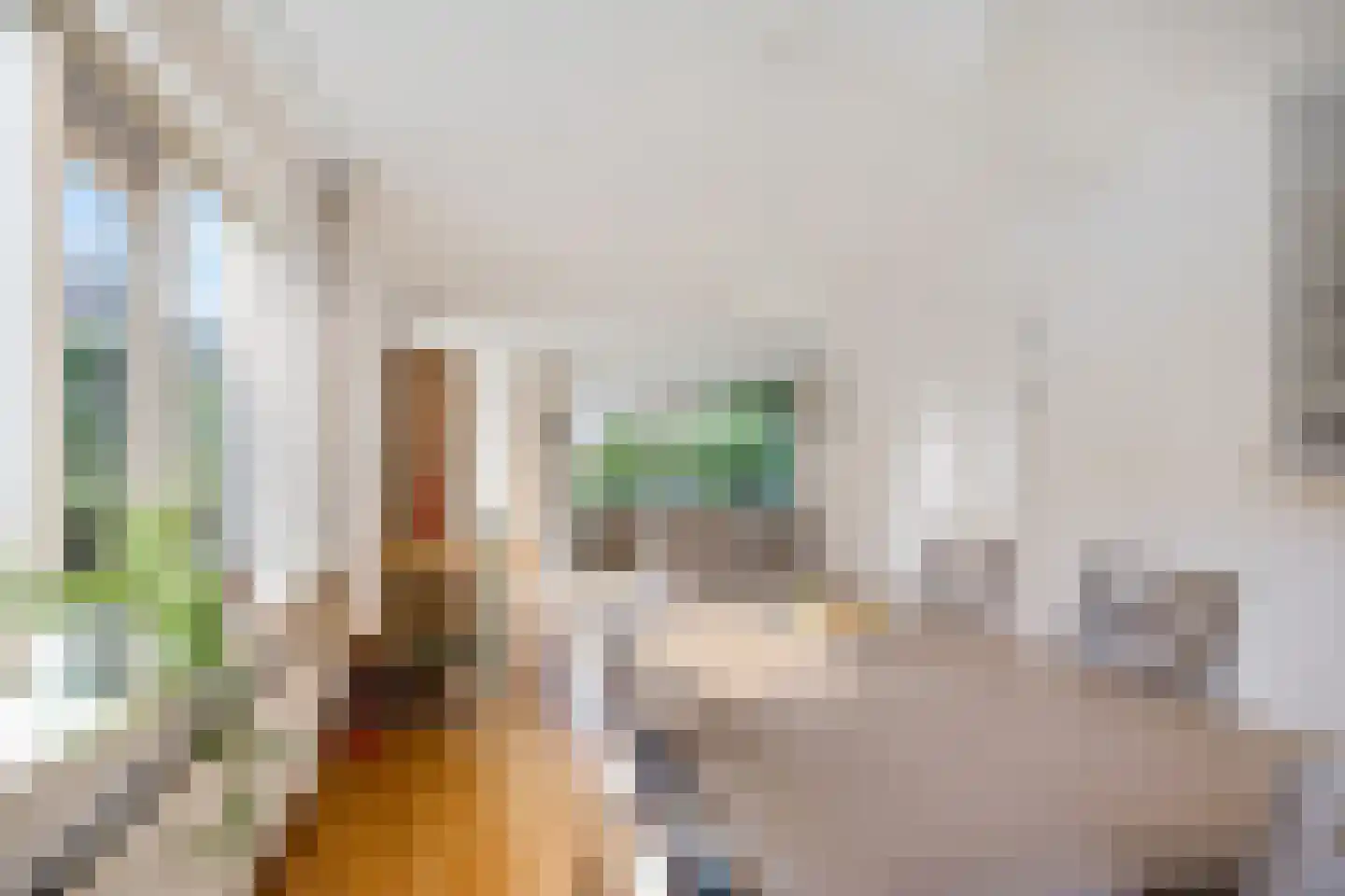 Jan Toetlaan 8 IJhorst thumbnail 10