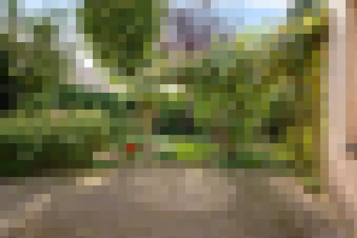 Jan Toetlaan 8 IJhorst thumbnail 27