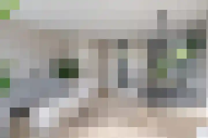 Jan Tooroplaan 151 Meppel thumbnail 11