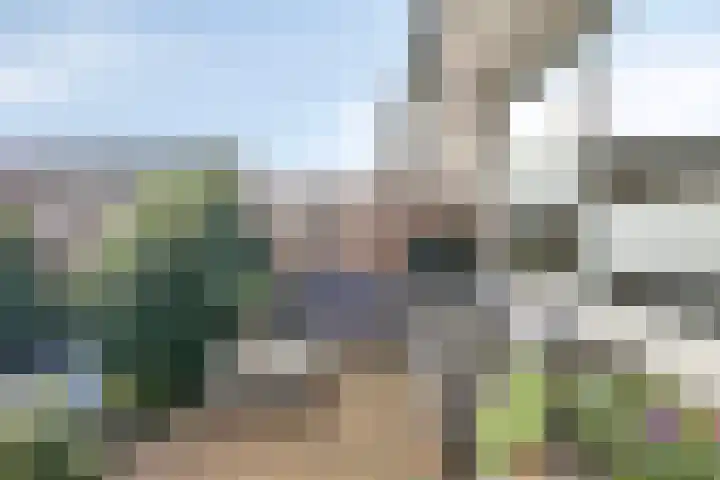 Jan Tooroplaan 151 Meppel thumbnail 29