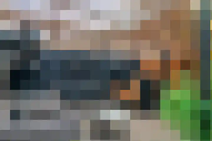 Jan Tooroplaan 151 Meppel thumbnail 31