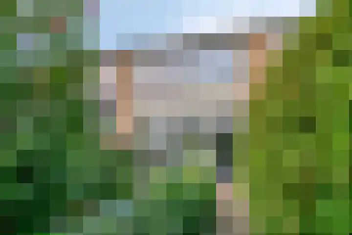 Jan Tooroplaan 151 Meppel thumbnail 33
