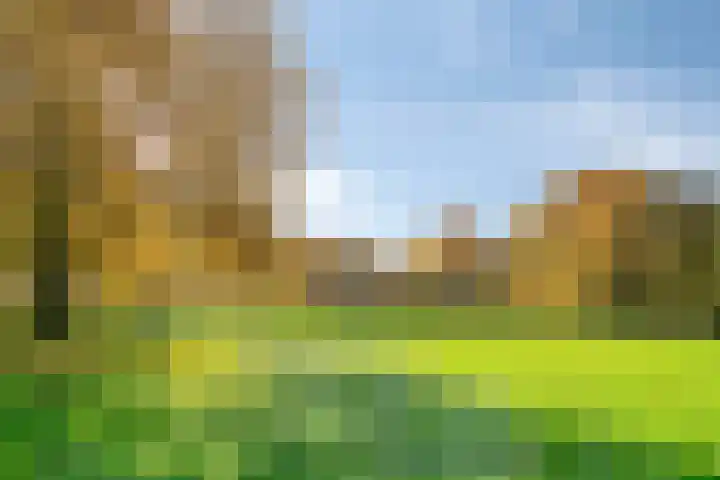 Jan Tooroplaan 151 Meppel thumbnail 37