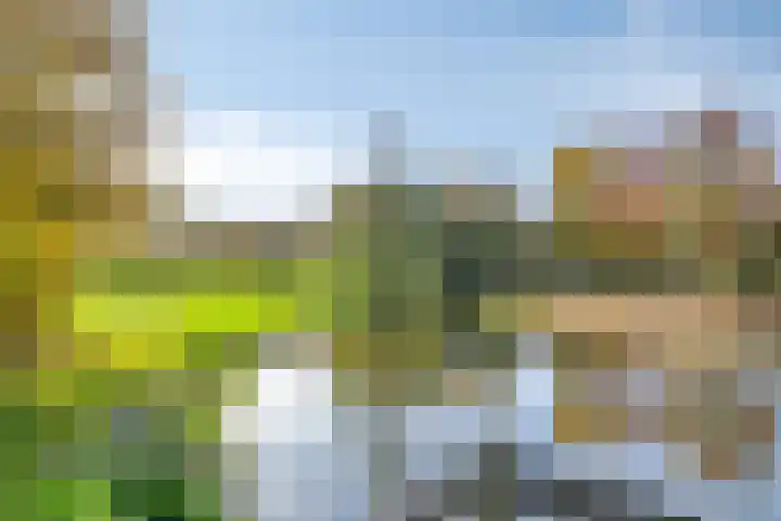 Jan Tooroplaan 151 Meppel thumbnail 40