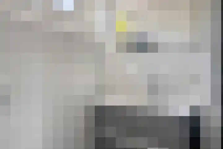 Jan Tooroplaan 153 Meppel thumbnail 15