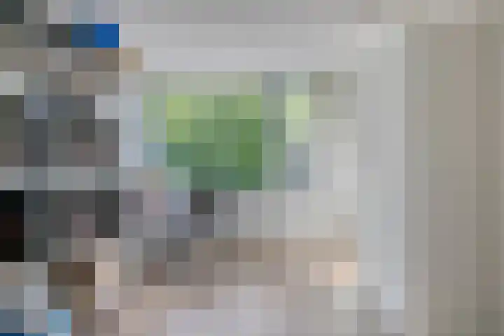 Jan Tooroplaan 153 Meppel thumbnail 17