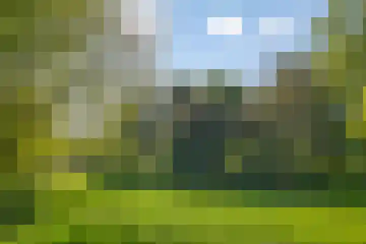 Jan Tooroplaan 153 Meppel thumbnail 24