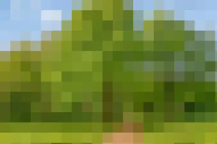 Jan Tooroplaan 153 Meppel thumbnail 25