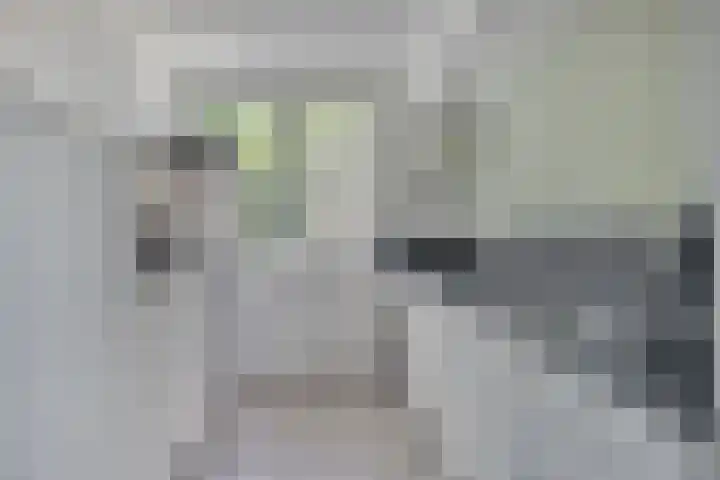 Jan Tooroplaan 153 Meppel thumbnail 9