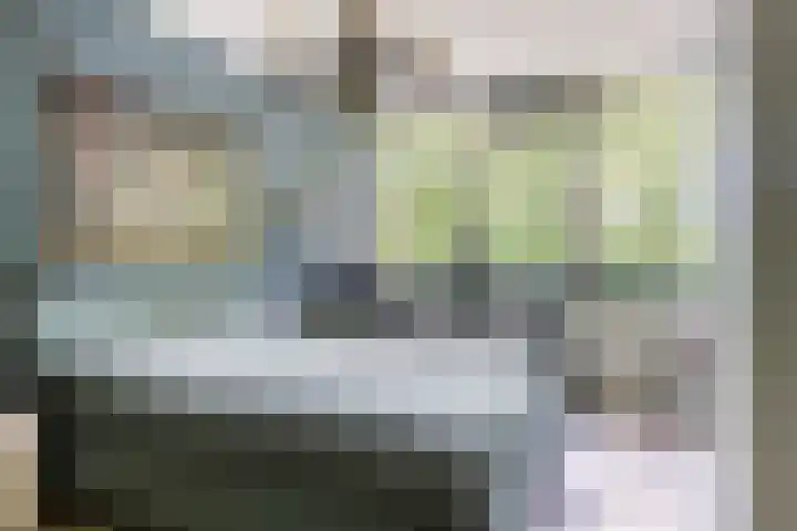 Jan Tooroplaan 175 Meppel thumbnail 17