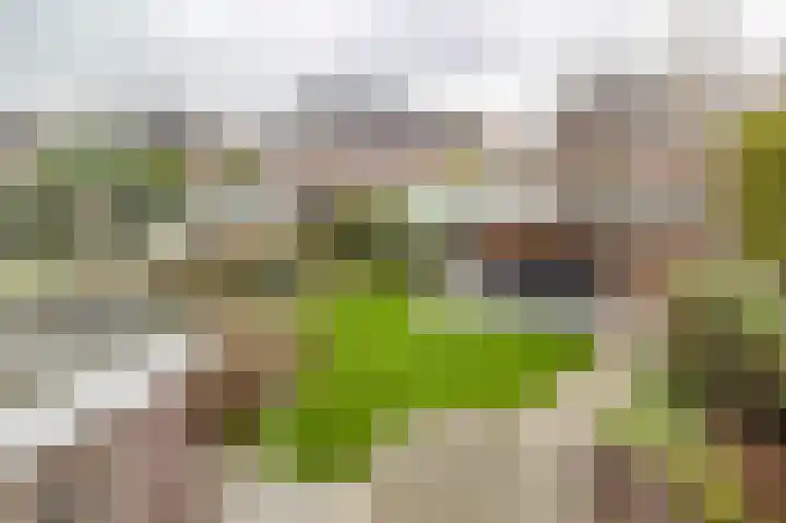 Jan Tooroplaan 4 Veendam thumbnail 24