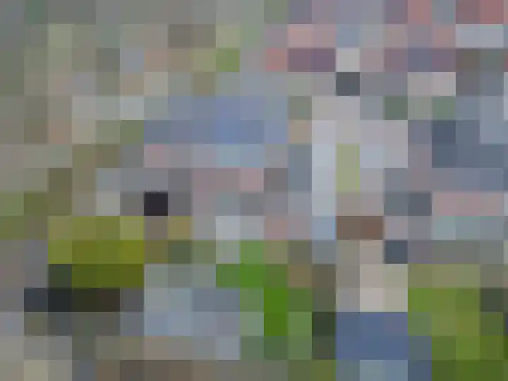Jan Tooroplaan 4 Veendam thumbnail 46