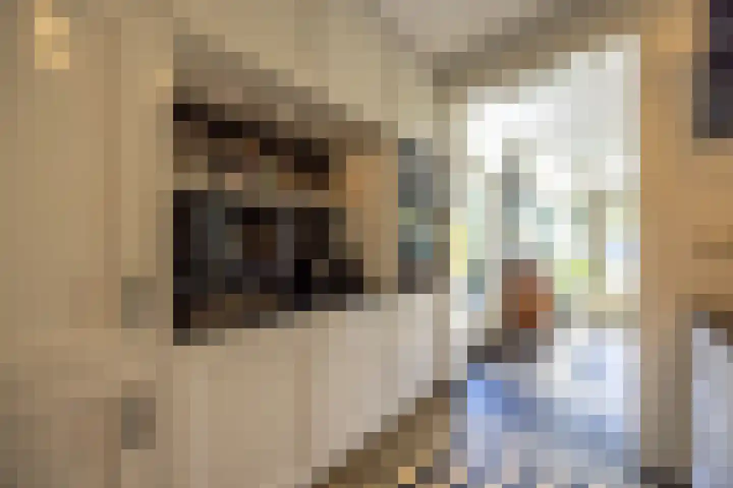 Jan Tooroplaan 51 Amstelveen thumbnail 11