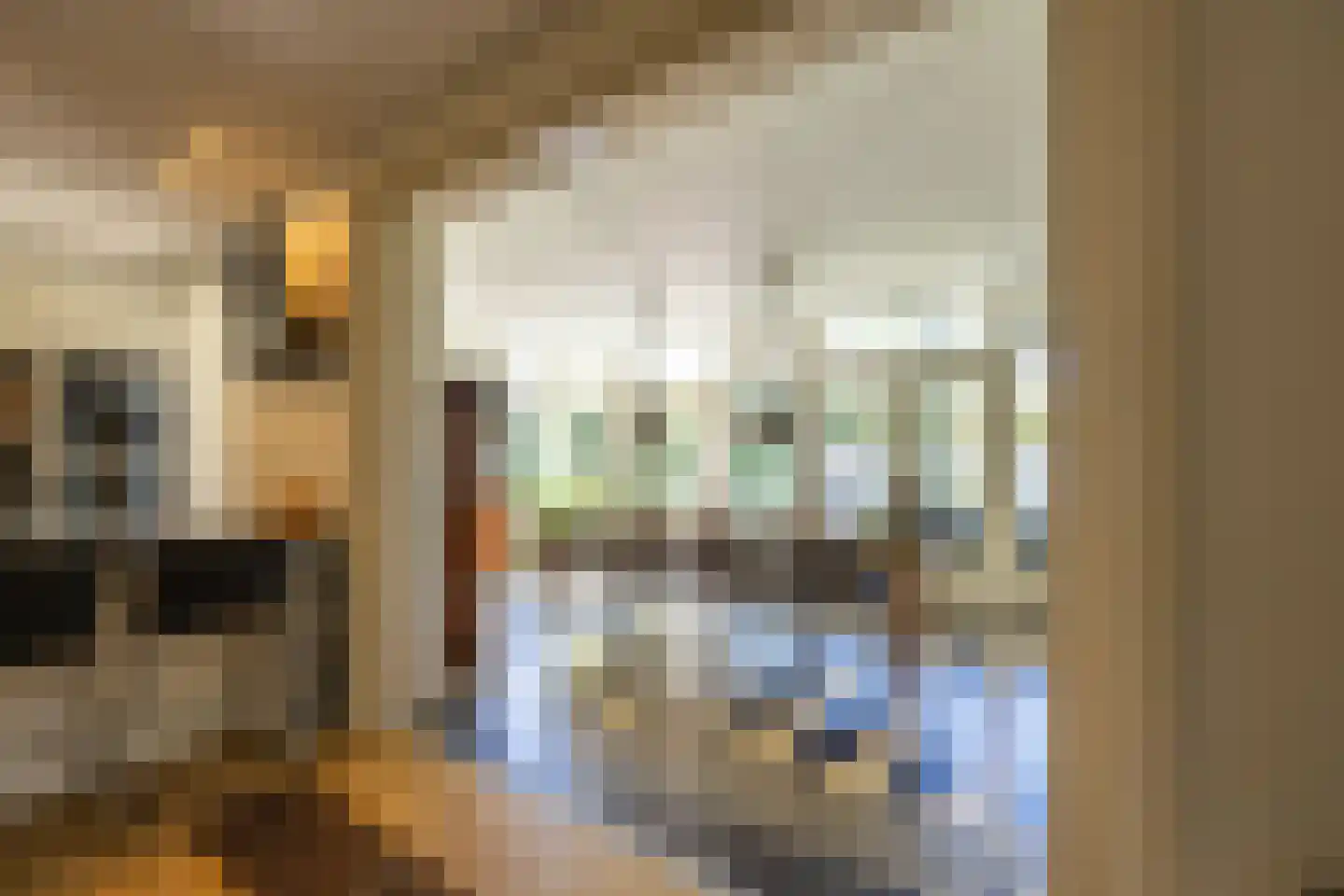 Jan Tooroplaan 51 Amstelveen thumbnail 13