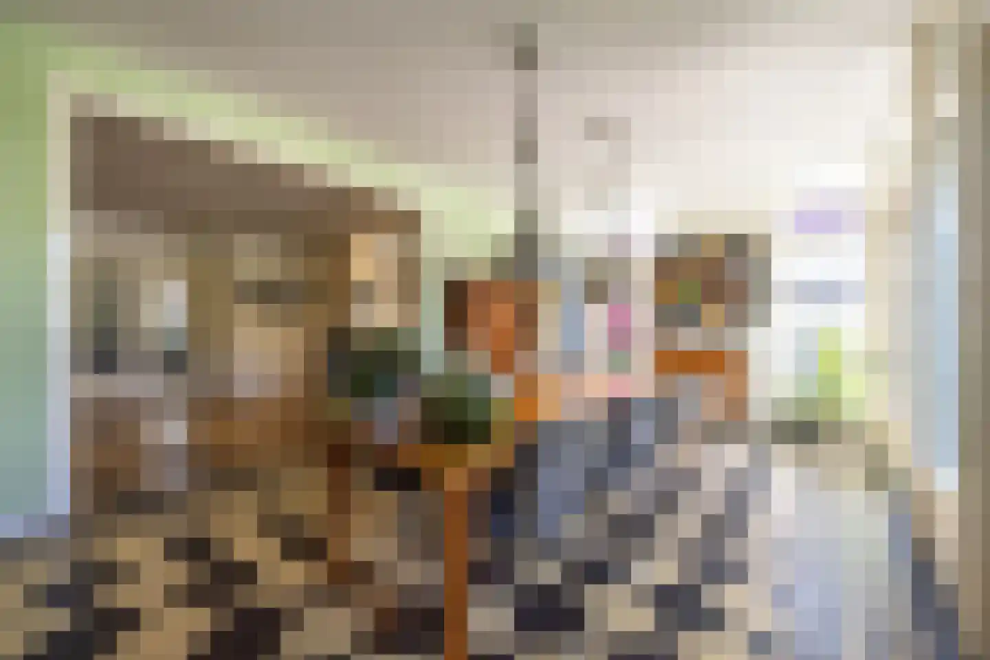 Jan Tooroplaan 51 Amstelveen thumbnail 14