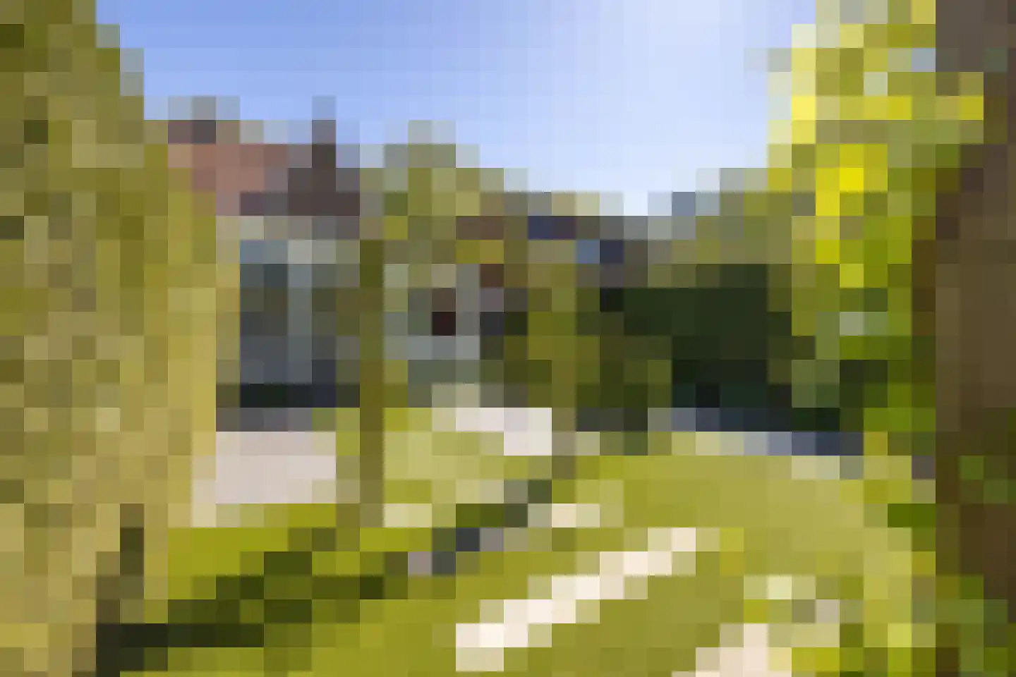 Jan Tooroplaan 51 Amstelveen thumbnail 30