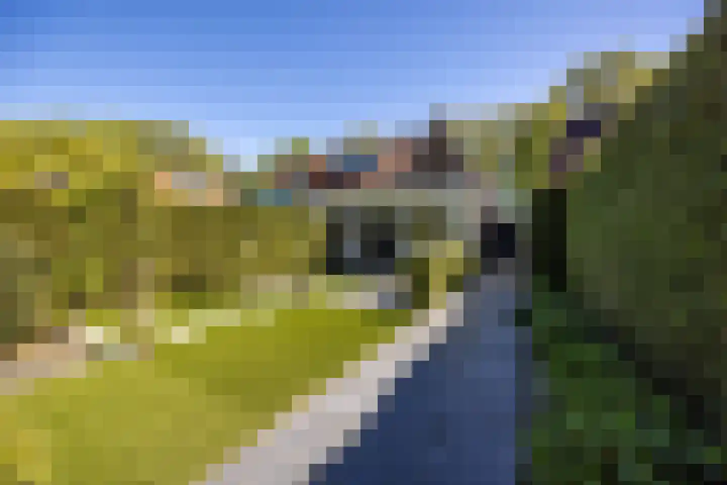 Jan Tooroplaan 51 Amstelveen thumbnail 33