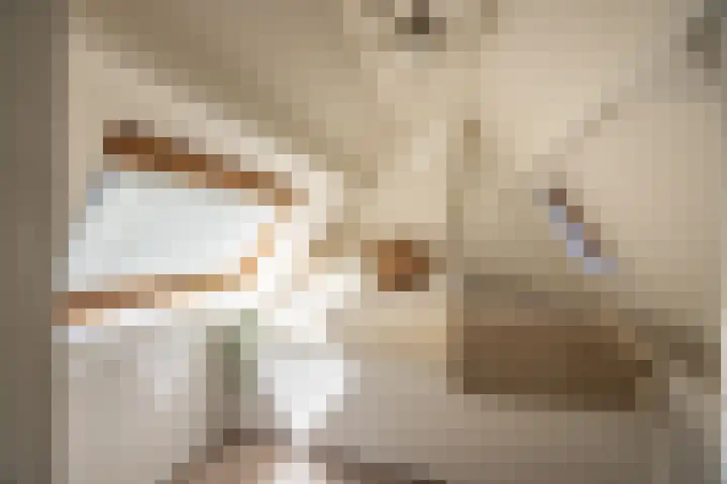 Jan Tooroplaan 51 Amstelveen thumbnail 54