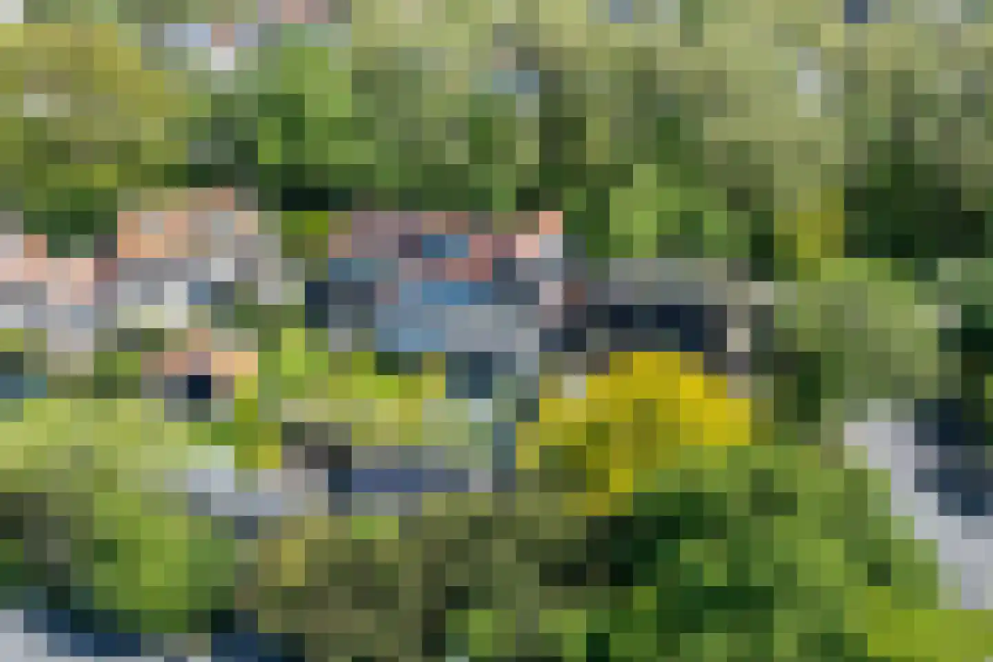 Jan Tooroplaan 51 Amstelveen thumbnail 61