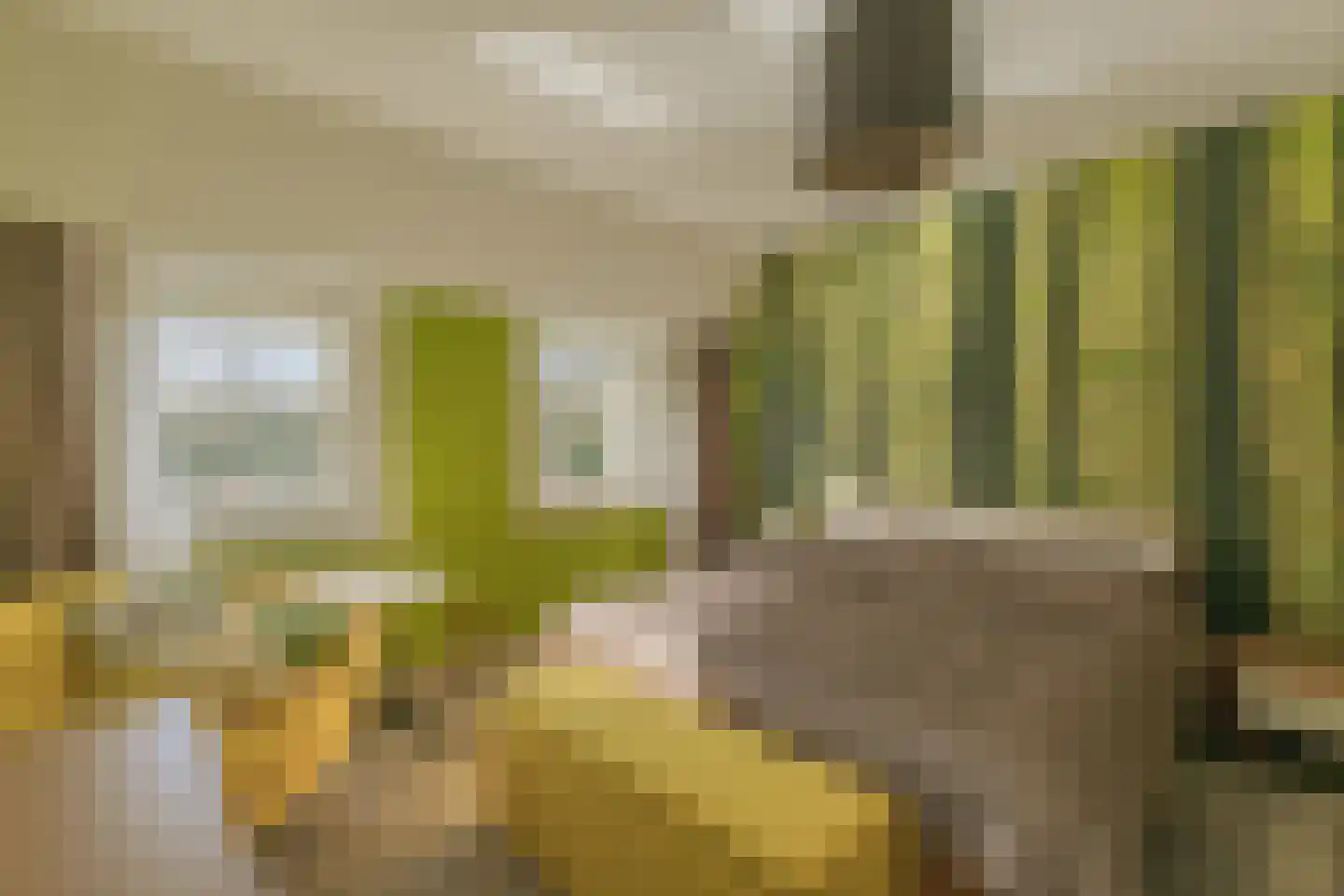 Jan Tooroplaan 52 Amstelveen thumbnail 20