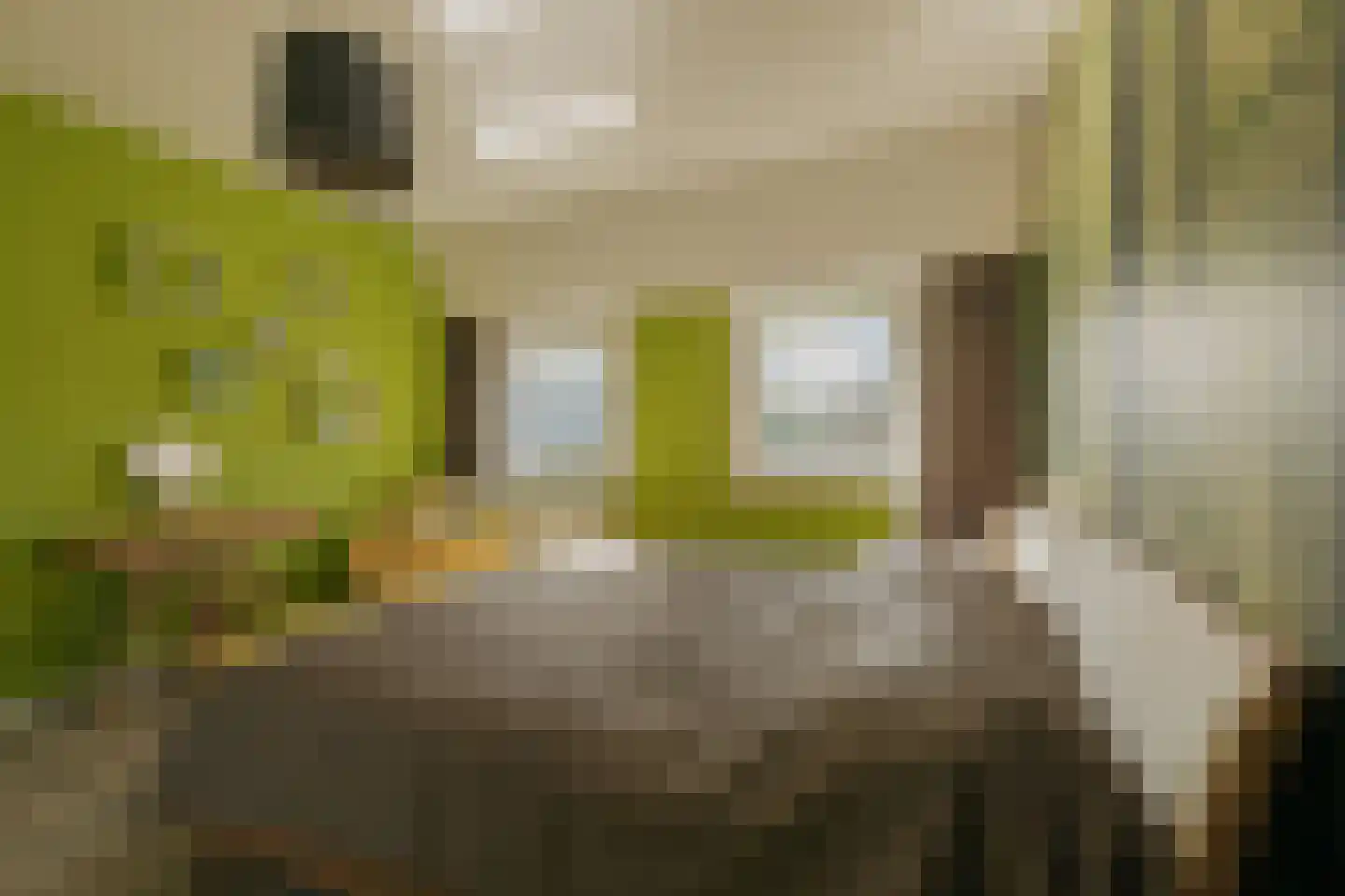 Jan Tooroplaan 52 Amstelveen thumbnail 21