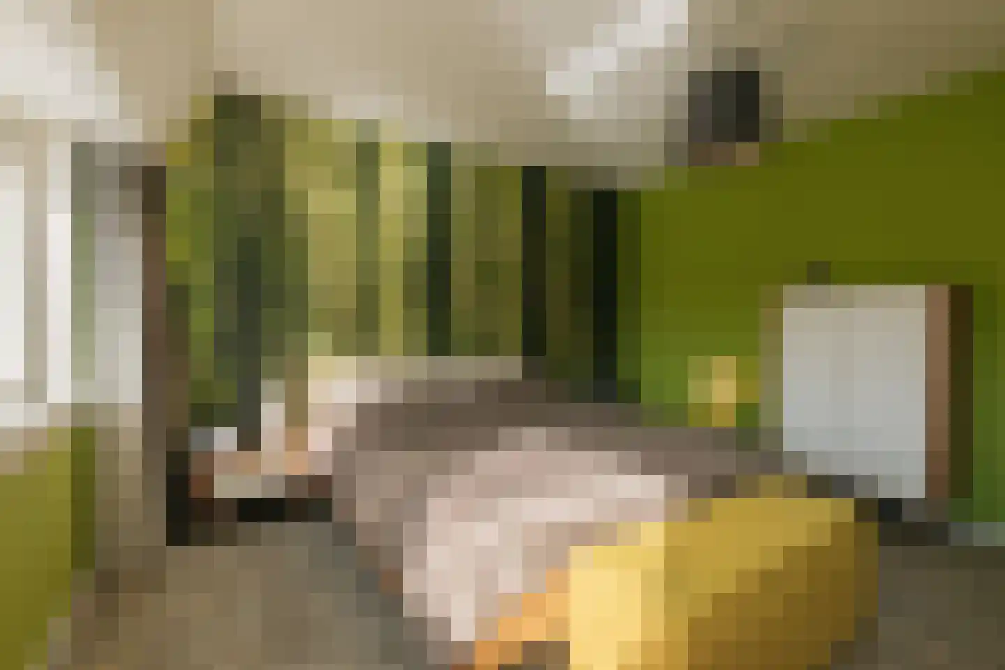 Jan Tooroplaan 52 Amstelveen thumbnail 25
