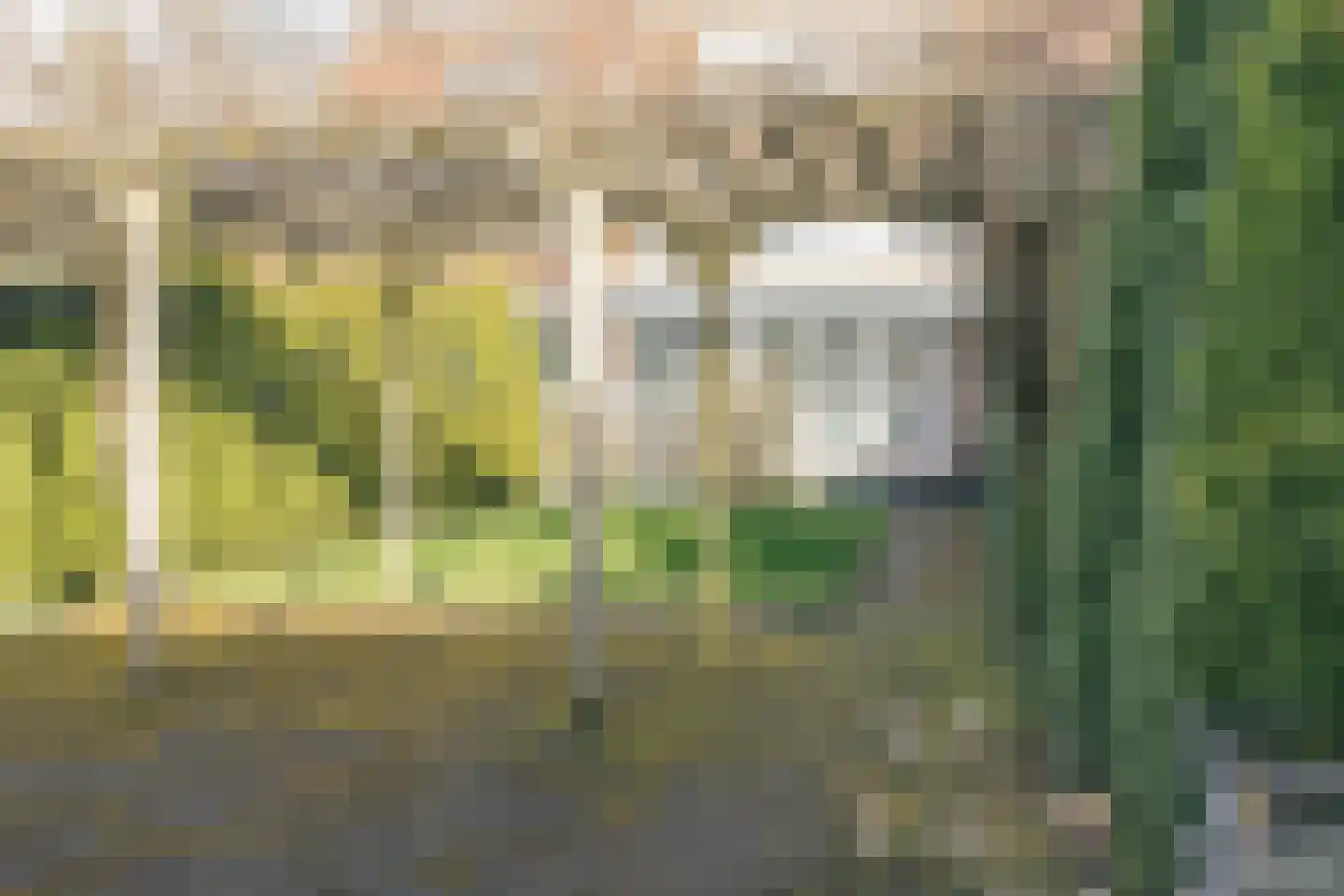 Jan Tooroplaan 52 Amstelveen thumbnail 43