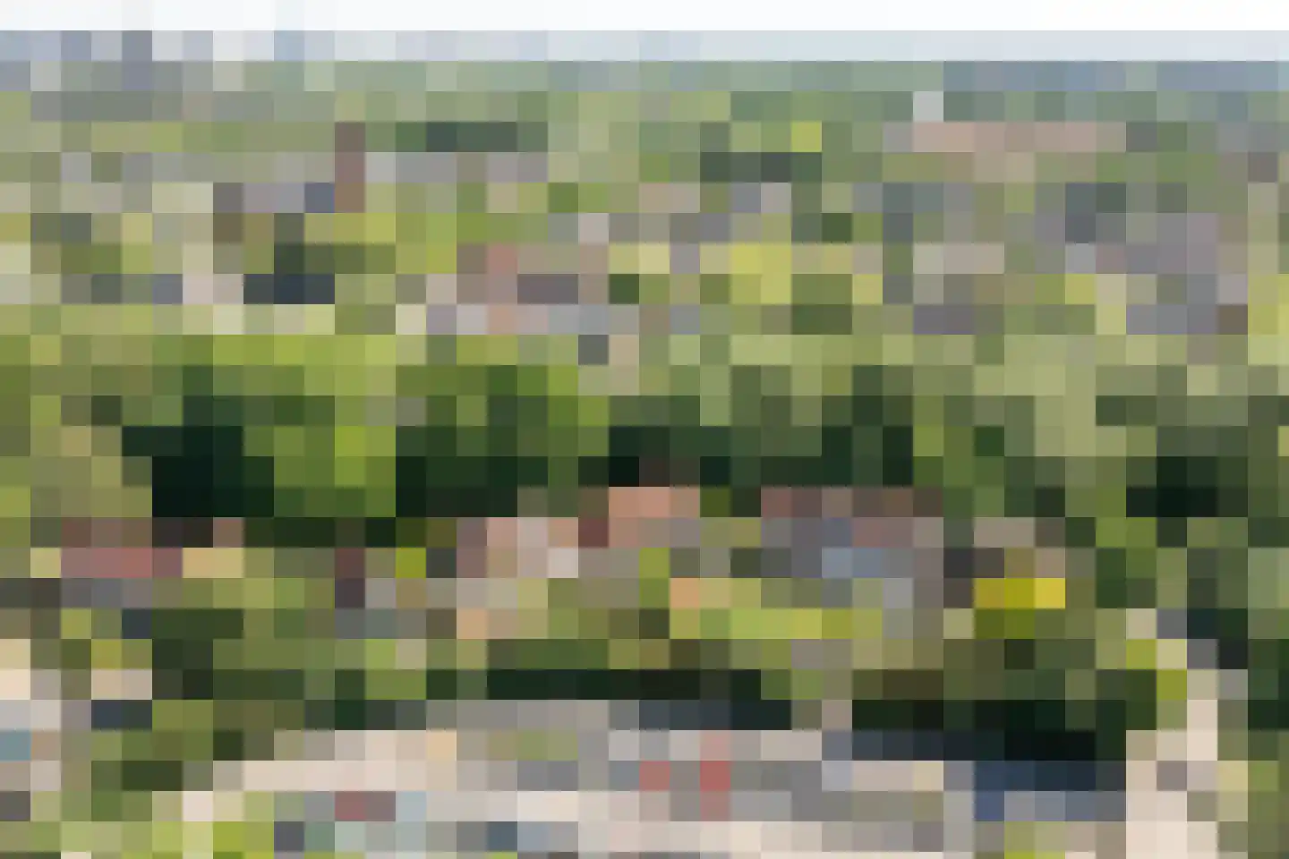Jan Tooroplaan 52 Amstelveen thumbnail 47