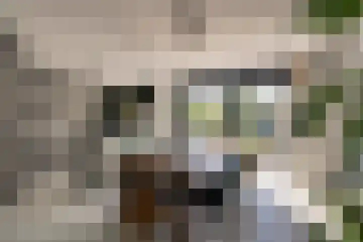 Jan Tooroplaan 53 Amstelveen thumbnail 10