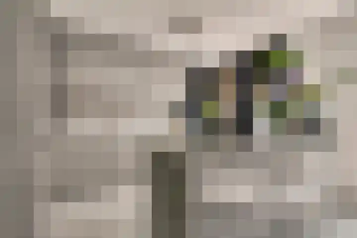 Jan Tooroplaan 53 Amstelveen thumbnail 14