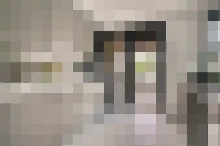 Jan Tooroplaan 53 Amstelveen thumbnail 15