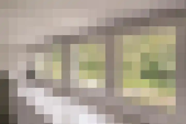 Jan Tooroplaan 53 Amstelveen thumbnail 24