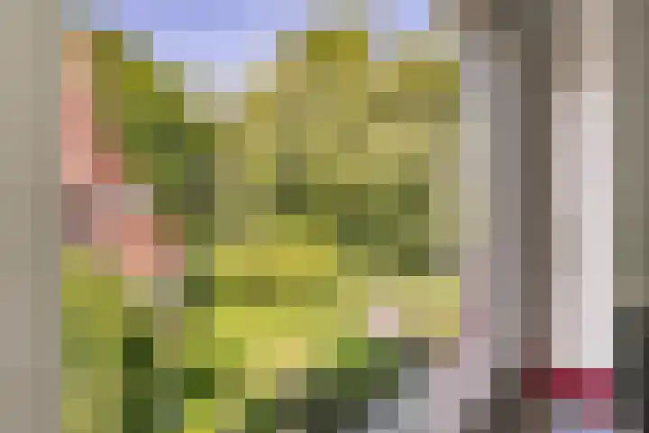 Jan Tooroplaan 53 Amstelveen thumbnail 26
