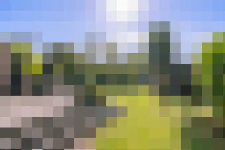 Jan Tooroplaan 53 Amstelveen thumbnail 35