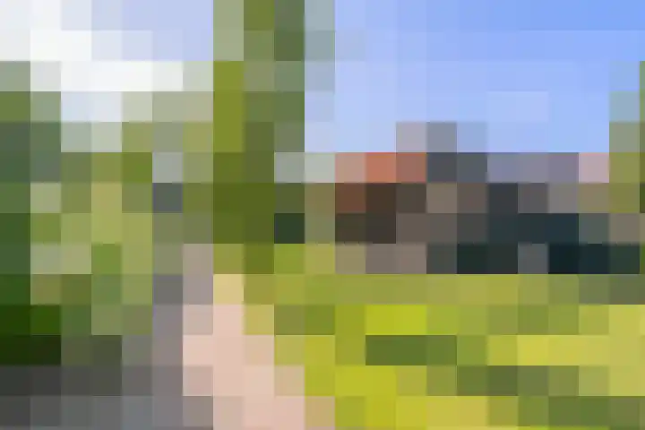 Jan Tooroplaan 53 Amstelveen thumbnail 39