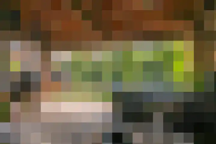 Jan Tooroplaan 53 Amstelveen thumbnail 45
