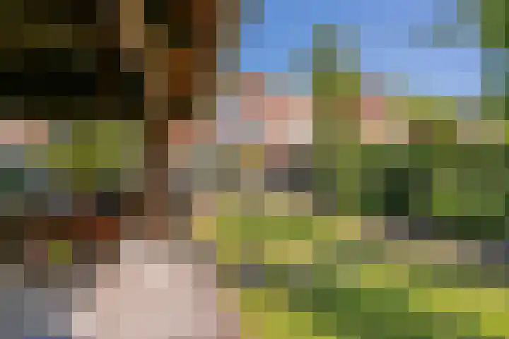 Jan Tooroplaan 53 Amstelveen thumbnail 46