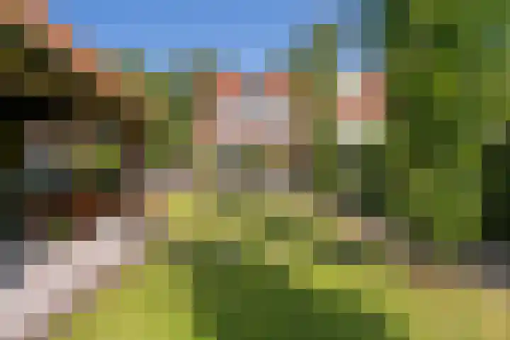 Jan Tooroplaan 53 Amstelveen thumbnail 47
