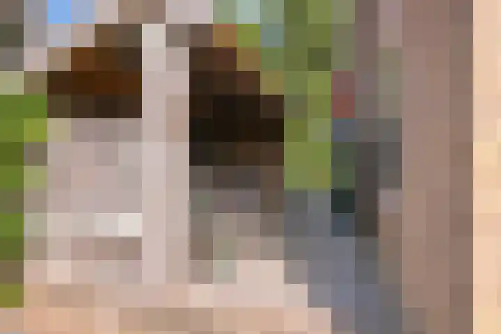 Jan Tooroplaan 53 Amstelveen thumbnail 49