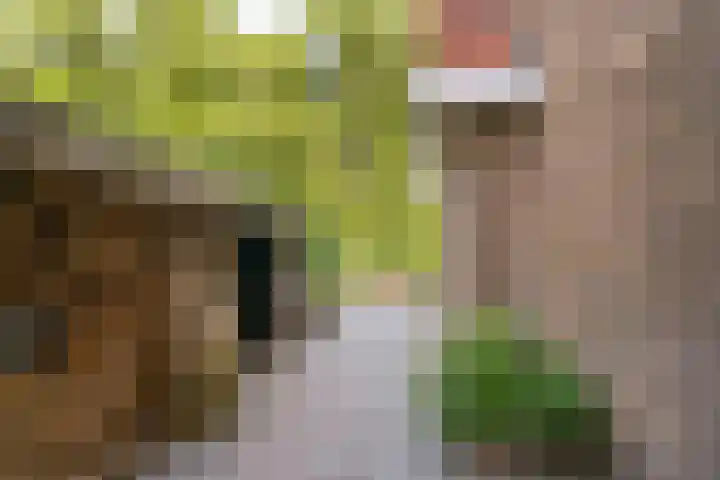 Jan Tooroplaan 53 Amstelveen thumbnail 50