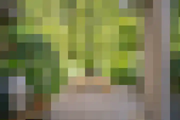 Jan Tooroplaan 53 Amstelveen thumbnail 51