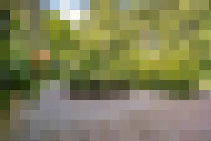 Jan Tooroplaan 53 Amstelveen thumbnail 53