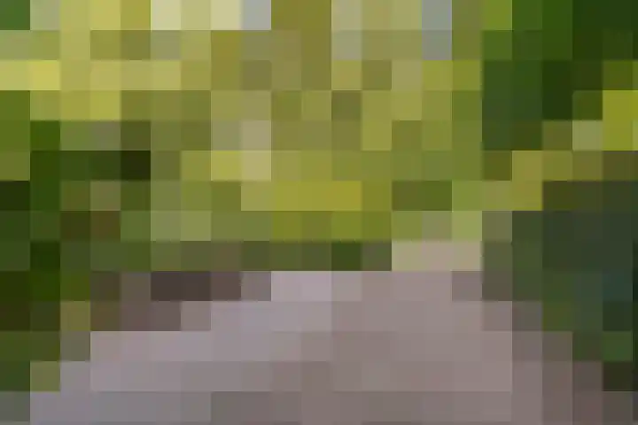 Jan Tooroplaan 53 Amstelveen thumbnail 54